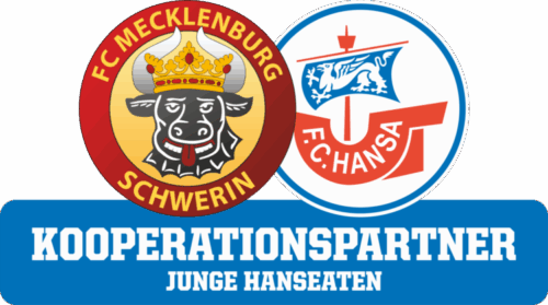 https://fcm-schwerin.de/wp-content/uploads/2025/06/Kooperationspartner-Schwerin-e1752167983865.png