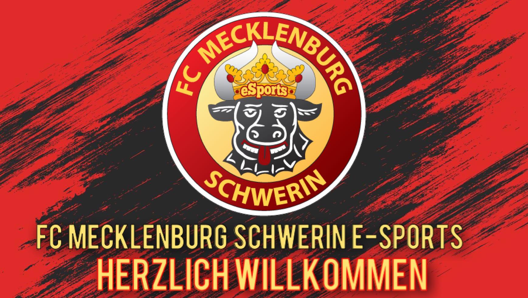 https://fcm-schwerin.de/wp-content/uploads/2025/08/ESport-HW.jpg