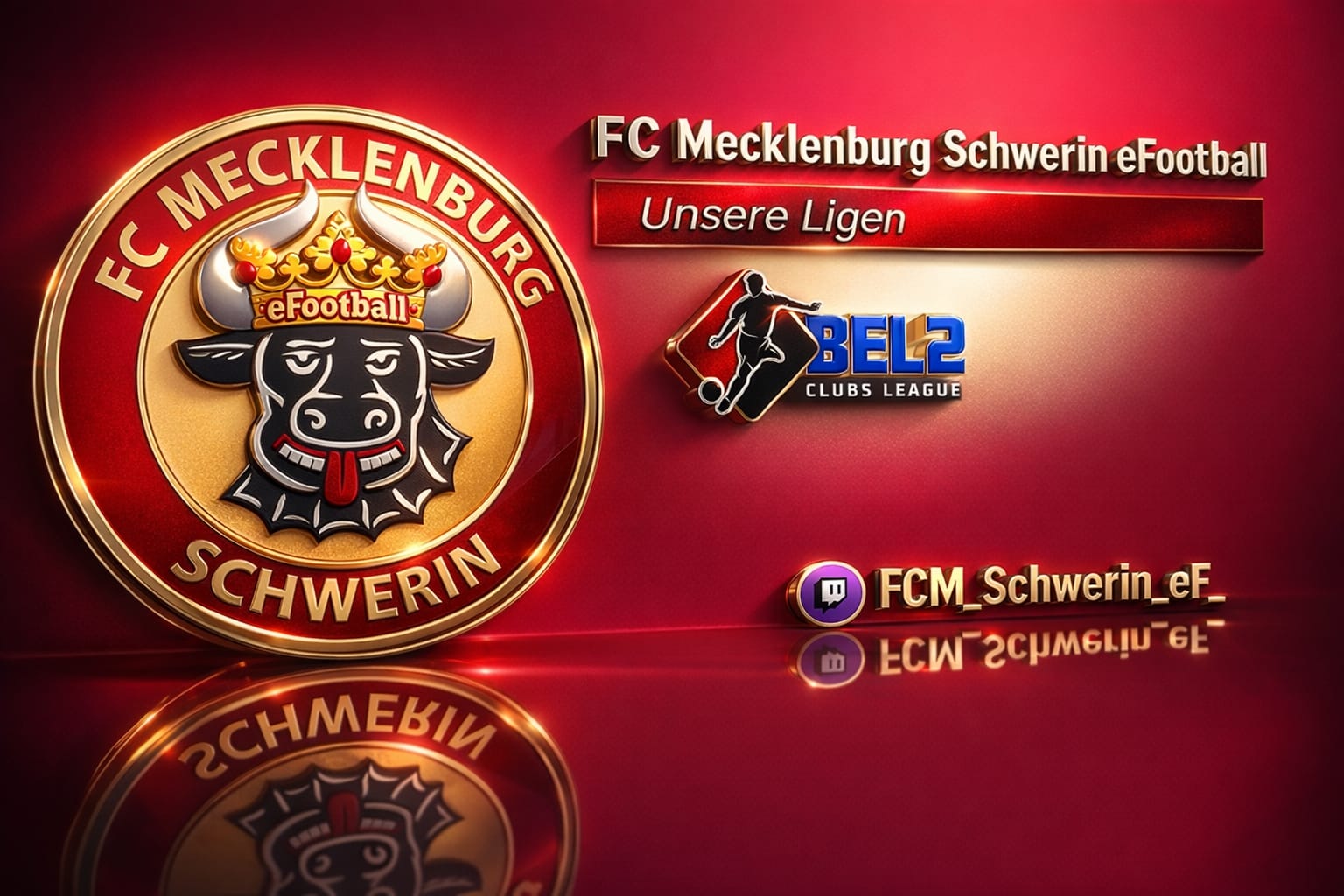 https://fcm-schwerin.de/wp-content/uploads/2025/12/FCM-eFootball-1.jpg